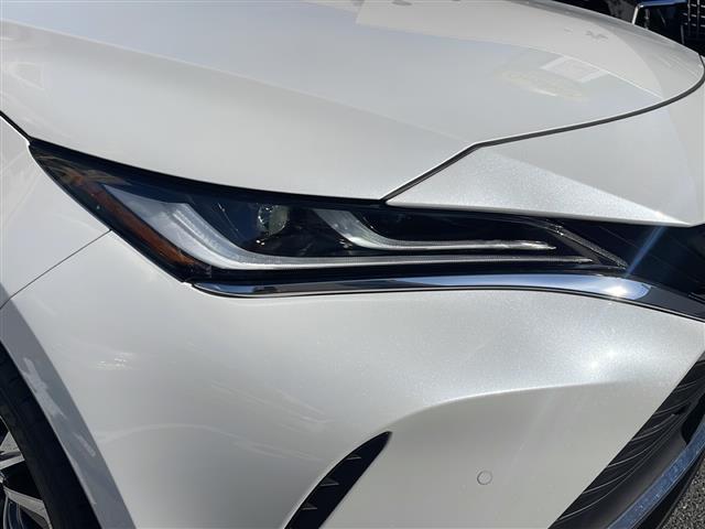 ハリアー G(10枚目)