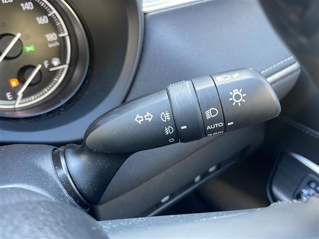 ハリアー G(30枚目)