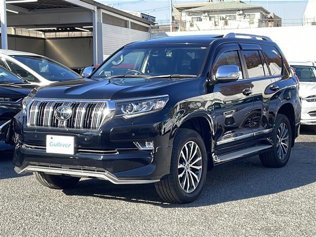 ランドクルーザープラド TZ-G メーカーナビ F S R エアロ ルーフレール(27枚目)