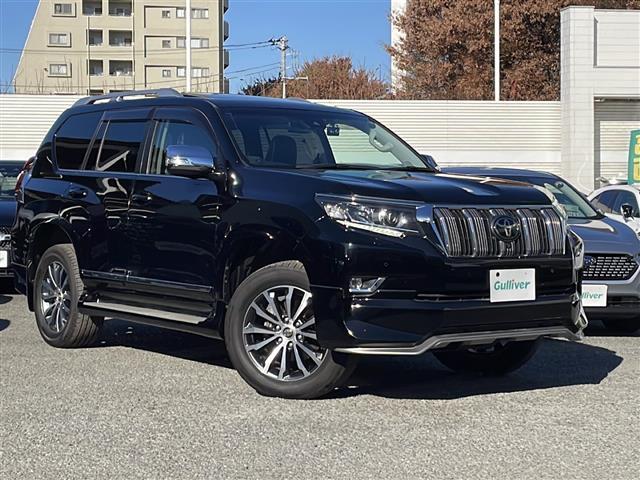 ランドクルーザープラド TZ-G メーカーナビ F S R エアロ ルーフレール(28枚目)