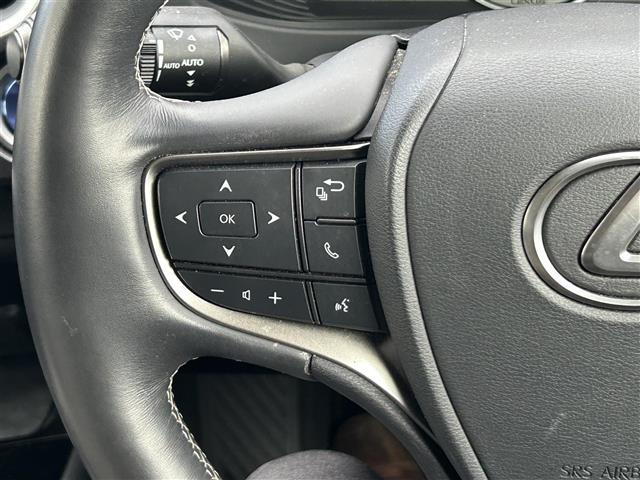 ＵＸ ＵＸ２５０ｈ　バージョンＬ　純正メーカーナビ　ＤＴＶ　ＢＴ　ＡＭ　ＦＭ　ＤＶＤ　ＵＳＢ　Ｍｉｒａｃａｓｔ　全方位カメラ　純正ドラレコ　ＥＴＣ　レクサスセーフティシステム＋　プリクラ　追従クルコン　レーンキープ　オートハイビーム（12枚目）