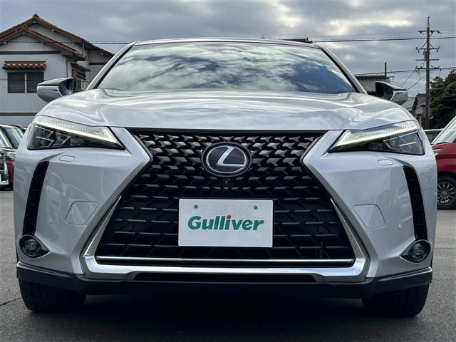 ＵＸ ＵＸ２５０ｈ　バージョンＬ　純正メーカーナビ　ＤＴＶ　ＢＴ　ＡＭ　ＦＭ　ＤＶＤ　ＵＳＢ　Ｍｉｒａｃａｓｔ　全方位カメラ　純正ドラレコ　ＥＴＣ　レクサスセーフティシステム＋　プリクラ　追従クルコン　レーンキープ　オートハイビーム（25枚目）