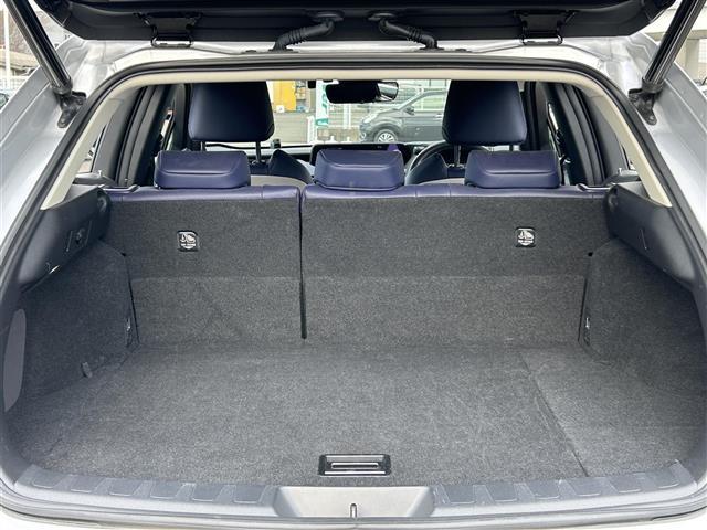 ＵＸ ＵＸ２５０ｈ　バージョンＬ　純正メーカーナビ　ＤＴＶ　ＢＴ　ＡＭ　ＦＭ　ＤＶＤ　ＵＳＢ　Ｍｉｒａｃａｓｔ　全方位カメラ　純正ドラレコ　ＥＴＣ　レクサスセーフティシステム＋　プリクラ　追従クルコン　レーンキープ　オートハイビーム（37枚目）