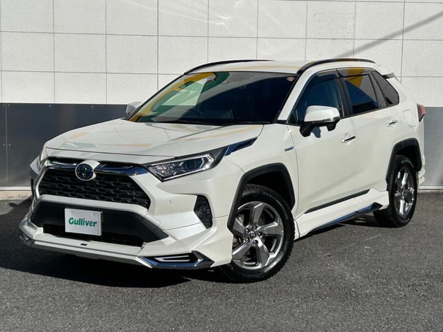 �K���o�[���̔�����N���}�́A�@�N���}�ɏڂ����Ȃ����ł�����₷���悤�ɕ]���_�ŕ\�L���Ă��܂��B