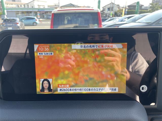 ランドクルーザー250 VX 12.3型M JBLスヒ゜ーカー SR センターデフロック(17枚目)