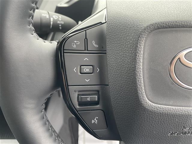 プリウス Ｚ　モテ゛リスタエアロ　ＳＲ　黒革　全方位カメラ（17枚目）