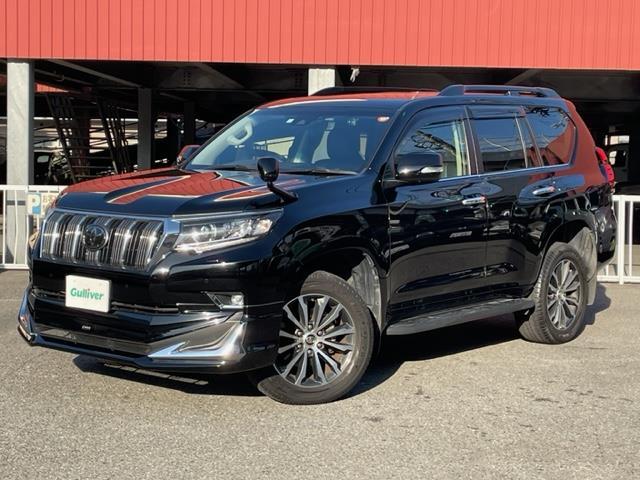 ランドクルーザープラド ＴＸ　Ｌパッケージ　ワンオーナー　モデリスタフロントスポイラー　純正ＳＤナビ　フルセグＴＶ／ＳＤ／ＣＤ／ＤＶＤ／ＳＤＲＥＣ／ＢＴ　バックカメラ　ムーンルーフ　ルーフレール　黒革シート　ビルトインＥＴＣ２．０（32枚目）