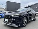 ＮＸ２５０　バージョンＬ　ＴＲＤエアロ／電動開閉サンルーフ／３眼ＬＥＤ（23枚目）