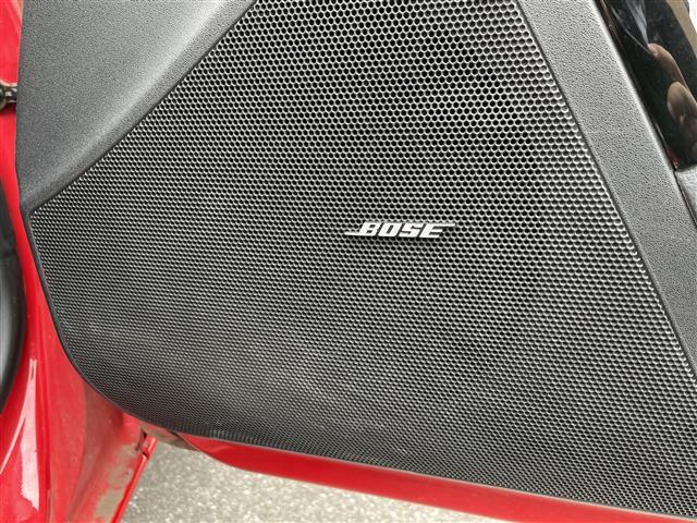 ＲＸ－８ トゥルーレッドスタイル（24枚目）