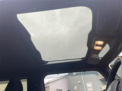 �ڥࡼ��롼�ա�ŷ�椫�����ۤβ��䤫�ʸ����֤䤫����������ळ�Ȥ��Ǥ��롢�ȥ西�Ρ֥���롼�աפǤ���Ƭ��Υ����å��ǥࡼ��롼�դ��Ĥ��뤳�Ȥ��Ǥ��ޤ��� 3