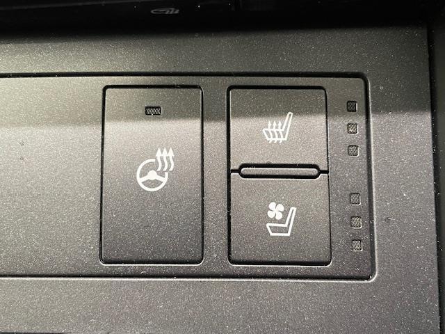 IS IS500 Fスポーツパフォーマンス レクサスセーフティー/純正ナビ/フルセグ/BT/CD/DVD/全周囲カメラ/マークレビンソンサウンド/Fスポドアミラーカバー/ブラックキャリパー/シートメモリー/パワーシート/シートメモリー(13枚目)