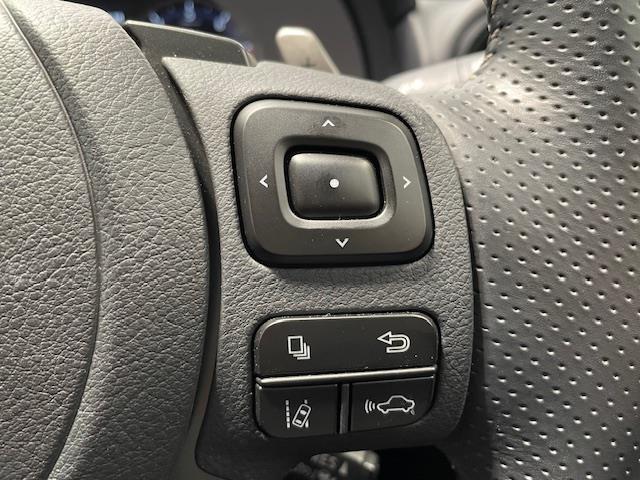 IS IS500 Fスポーツパフォーマンス レクサスセーフティー/純正ナビ/フルセグ/BT/CD/DVD/全周囲カメラ/マークレビンソンサウンド/Fスポドアミラーカバー/ブラックキャリパー/シートメモリー/パワーシート/シートメモリー(23枚目)