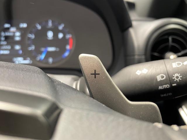 IS IS500 Fスポーツパフォーマンス レクサスセーフティー/純正ナビ/フルセグ/BT/CD/DVD/全周囲カメラ/マークレビンソンサウンド/Fスポドアミラーカバー/ブラックキャリパー/シートメモリー/パワーシート/シートメモリー(24枚目)