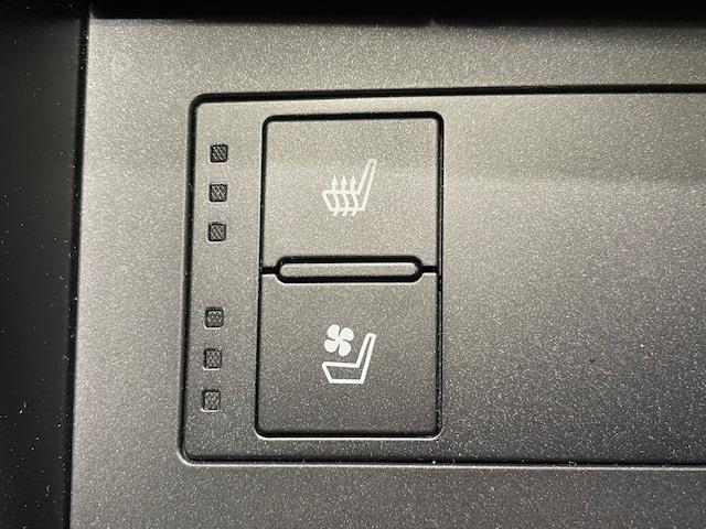 IS IS500 Fスポーツパフォーマンス レクサスセーフティー/純正ナビ/フルセグ/BT/CD/DVD/全周囲カメラ/マークレビンソンサウンド/Fスポドアミラーカバー/ブラックキャリパー/シートメモリー/パワーシート/シートメモリー(35枚目)