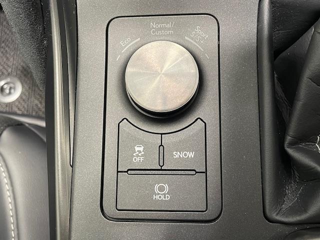 IS IS500 Fスポーツパフォーマンス レクサスセーフティー/純正ナビ/フルセグ/BT/CD/DVD/全周囲カメラ/マークレビンソンサウンド/Fスポドアミラーカバー/ブラックキャリパー/シートメモリー/パワーシート/シートメモリー(36枚目)