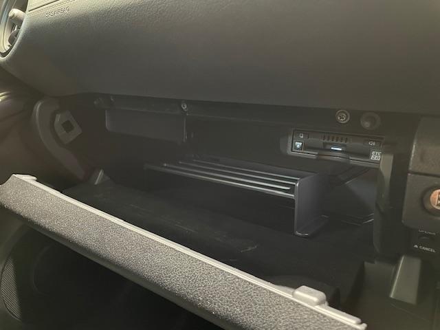 IS IS500 Fスポーツパフォーマンス レクサスセーフティー/純正ナビ/フルセグ/BT/CD/DVD/全周囲カメラ/マークレビンソンサウンド/Fスポドアミラーカバー/ブラックキャリパー/シートメモリー/パワーシート/シートメモリー(53枚目)