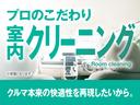 Ｒ　社外ナビ　フルセグ　社外１７インチアルミ（36枚目）