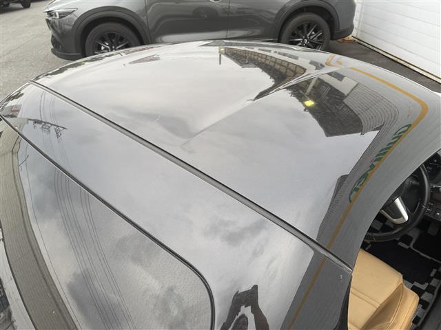 コペン ローブ　５ＭＴ　ＨＫＳマフラー　ベージュシート（35枚目）