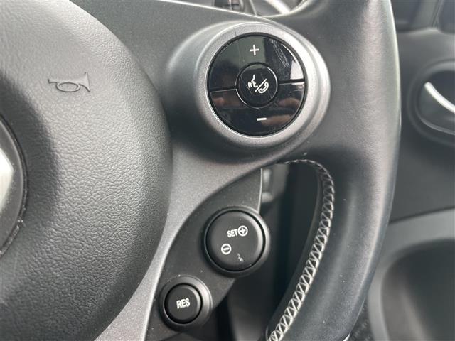 スマートフォーフォー BRABUS スポーツ 社外ナビ ガラスルーフ クルコン バックカメラ ETC(5枚目)