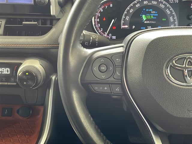 RAV4 アドベンチャー ワンオーナー 純正ディスプレイオーディオ バックカメラ ビルトインETC2.0 トヨタセーフティセンス RAYSアルミホイール ルーフレール パワーシート クルーズコントロール プッシュスタート(8枚目)