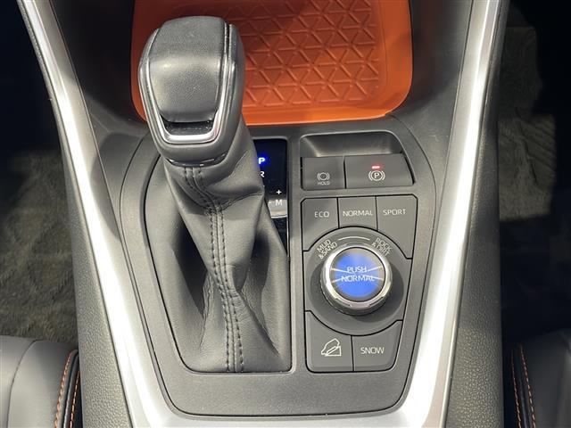 RAV4 アドベンチャー ワンオーナー 純正ディスプレイオーディオ バックカメラ ビルトインETC2.0 トヨタセーフティセンス RAYSアルミホイール ルーフレール パワーシート クルーズコントロール プッシュスタート(15枚目)
