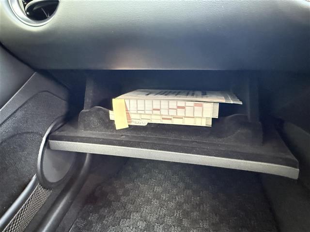 GT-R ピュアエディション(12枚目)