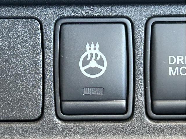 セレナ e-パワー ハイウェイスターV 全方位モニター レーダーCC 前後Pセンサー エマブレ プロパイロット 車線逸脱防止 駐車支援 デジタルルームミラー LEDオートライト 純正9型ナビ 両側パワスラ ビルトインETC 後席用モニター(41枚目)