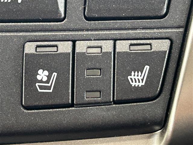 NX NX300h バージョンL 純正ナビ/Bluetooth/バックカメラ/フルセグTV/ステアリングスイッチ/パドルシフト/ドライブレコーダー/電動リアゲート/本革シート/ステアリングヒーター/シートヒーター/ETC/衝突軽減防止(36枚目)