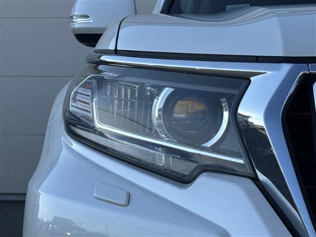 ランドクルーザープラド TZ-G 純正ナビ(AM/FM/CD/DVD/USB/Bluetooth/フルセグ)/全方位カメラ/前方ドライブレコーダー/前後コーナーセンサー/追従型クルコン/ETC2.0/SoundWaveセキュリティ(19枚目)