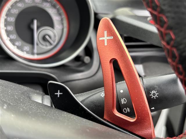 スイフトスポーツ ベースグレード　純正ナビ　（ＣＤ／ＤＶＤ／ＴＶ／Ｂｌｕｅｔｏｏｔｈ）／全方位カメラ／追従クルーズコントロール／前後ドライブレコーダー／シートヒーター／社外エアロ／パドルシフト／スペアキー（9枚目）