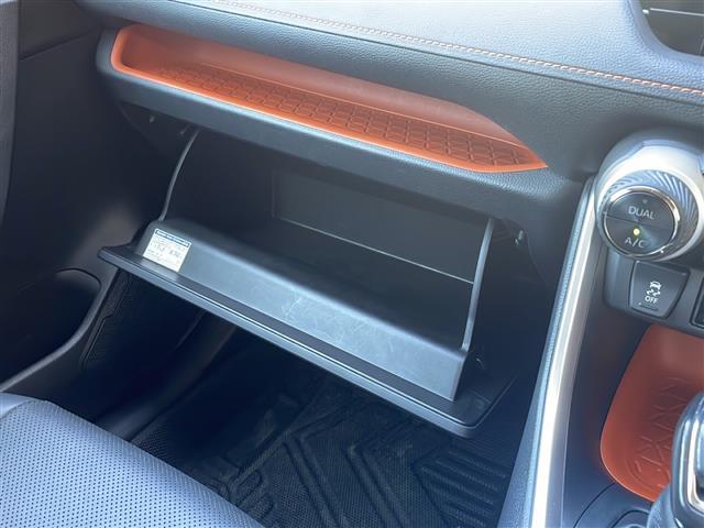 RAV4 アドベンチャー 4WD パノラマルーフ JAOS(F,R,S) 純正ディスプレイオーディオ 純正19AW ルーフレール プリクラッシュセーフティ レーダークルコン ブラインドスポットモニター レーンキープアシスト(34枚目)