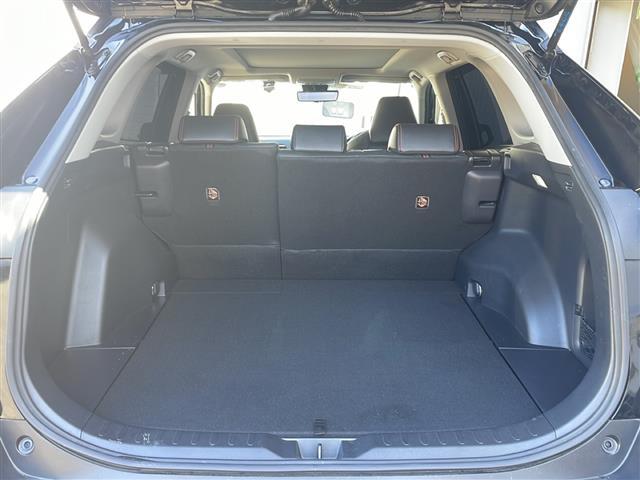 RAV4 アドベンチャー 4WD パノラマルーフ JAOS(F,R,S) 純正ディスプレイオーディオ 純正19AW ルーフレール プリクラッシュセーフティ レーダークルコン ブラインドスポットモニター レーンキープアシスト(40枚目)