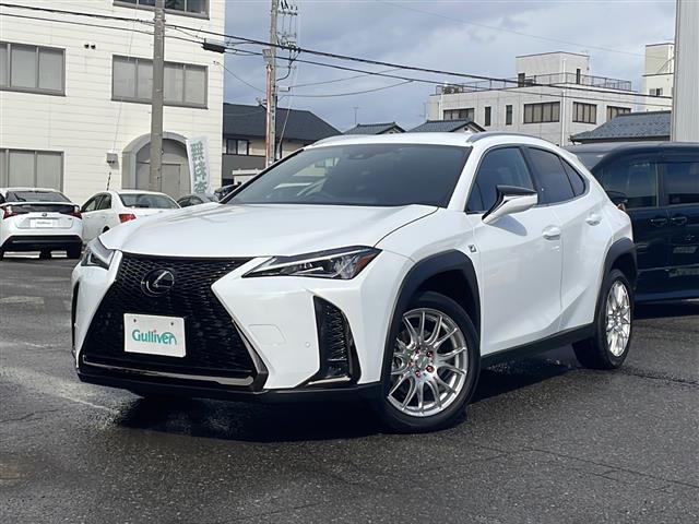 UX UX200 Fスポーツ ワンオーナー 純正ナビ フルセグ バックカメラ TRDマフラー プリクラッシュセーフティ レーンキープアシスト レーダークルコン ブラインドスポットモニター パワーバックドア 革シート LEDライト(4枚目)