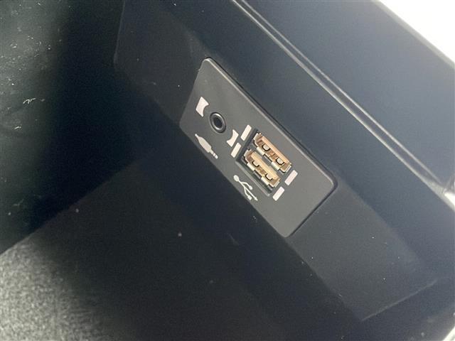 UX UX200 Fスポーツ ワンオーナー 純正ナビ フルセグ バックカメラ TRDマフラー プリクラッシュセーフティ レーンキープアシスト レーダークルコン ブラインドスポットモニター パワーバックドア 革シート LEDライト(30枚目)