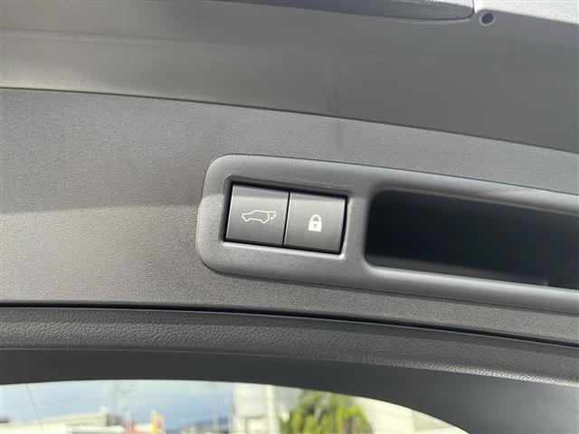 UX UX200 Fスポーツ ワンオーナー 純正ナビ フルセグ バックカメラ TRDマフラー プリクラッシュセーフティ レーンキープアシスト レーダークルコン ブラインドスポットモニター パワーバックドア 革シート LEDライト(34枚目)