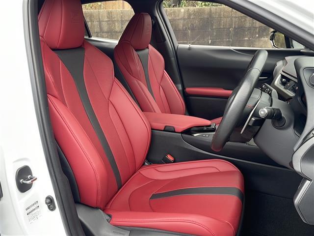 UX UX200 Fスポーツ ワンオーナー 純正ナビ フルセグ バックカメラ TRDマフラー プリクラッシュセーフティ レーンキープアシスト レーダークルコン ブラインドスポットモニター パワーバックドア 革シート LEDライト(37枚目)