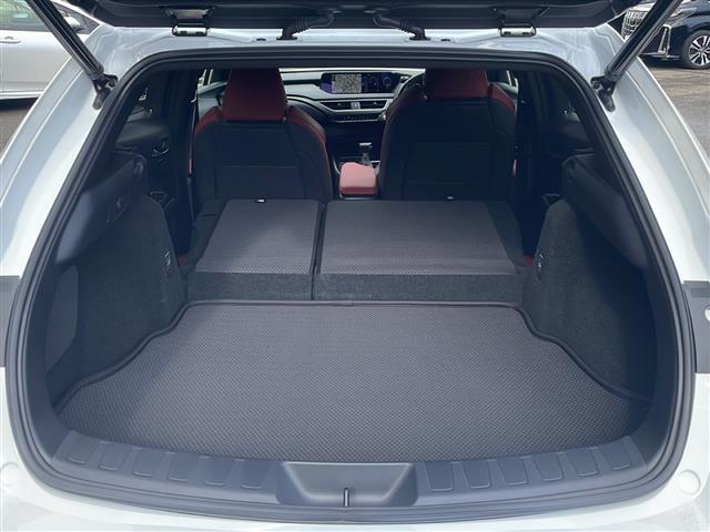 UX UX200 Fスポーツ ワンオーナー 純正ナビ フルセグ バックカメラ TRDマフラー プリクラッシュセーフティ レーンキープアシスト レーダークルコン ブラインドスポットモニター パワーバックドア 革シート LEDライト(41枚目)