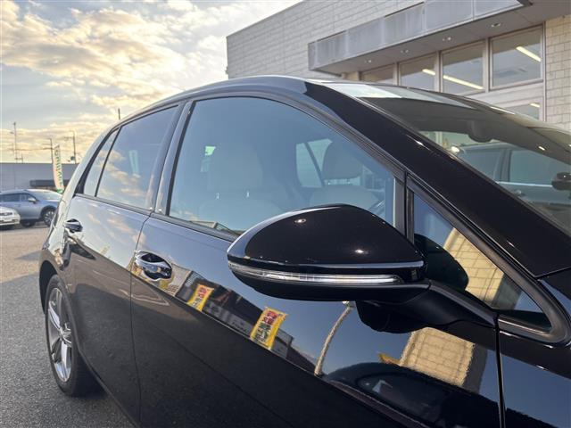 ゴルフ ＴＳＩハイライン　マイスター　１オーナー　純正メーカーナビ／ＢＴ／ＣＤ／ＵＳＢ／ＤＶＤ／ＳＤ／ＴＶ／ＡＵＸ／　ブラインドスポットモニター　テレビキャンセラー　レーンキープアシスト　コーナーセンサー　レーダークルコン（37枚目）