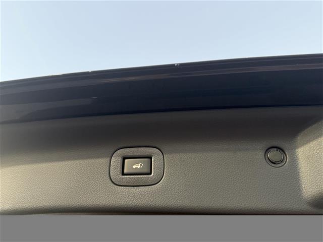 エルグランド ＶＩＰ　パワーシートパッケージ　ワンオーナー　純正オプションナビ　全方位カメラ　サンルーフ　本革レザーシート　両側パワースライドドア　全席シートヒーター　全席パワーシート　パワーバックドア　ＬＥＤヘッドライト　全方位ドラレコ　ＥＴＣ（25枚目）
