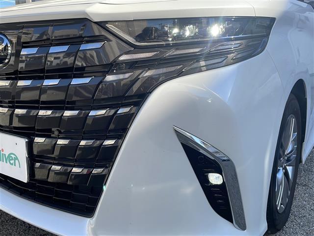 アルファード Z(42枚目)