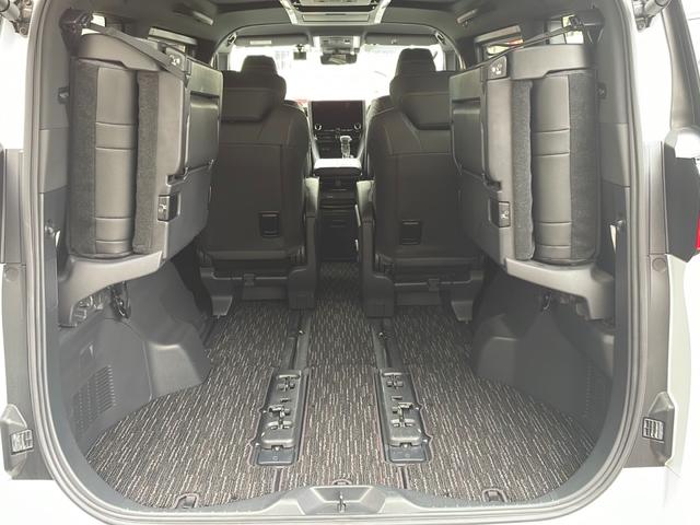 アルファード Z(48枚目)