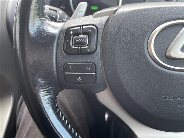 NX NX300h バージョンL(5枚目)