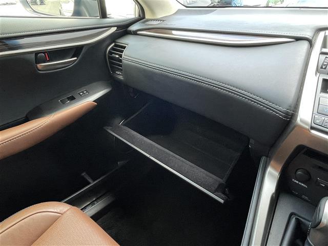 NX NX300h バージョンL(19枚目)