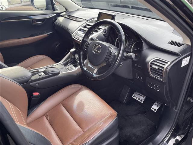 NX NX300h バージョンL(20枚目)