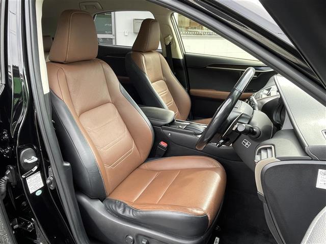 NX NX300h バージョンL(22枚目)