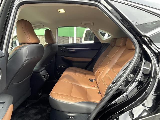 NX NX300h バージョンL(30枚目)