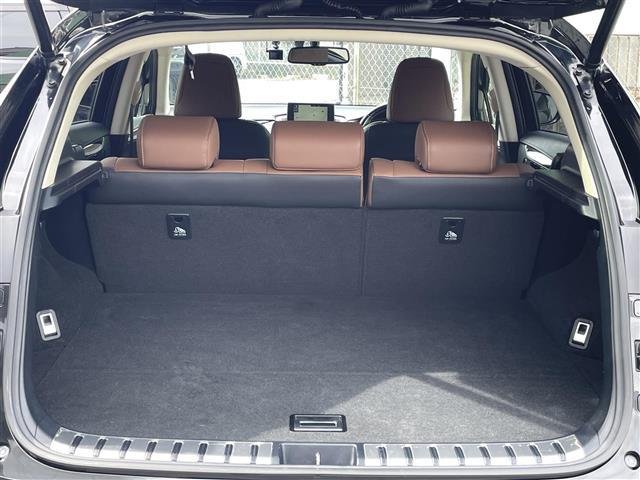 NX NX300h バージョンL(32枚目)