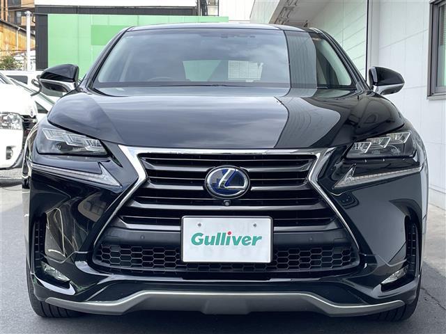 NX NX300h バージョンL(34枚目)