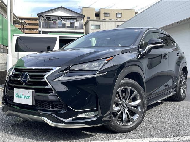 NX NX300h バージョンL(35枚目)