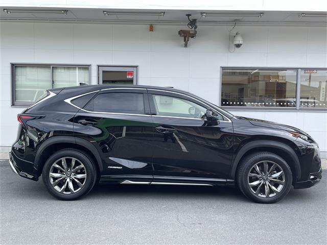 NX NX300h バージョンL(37枚目)